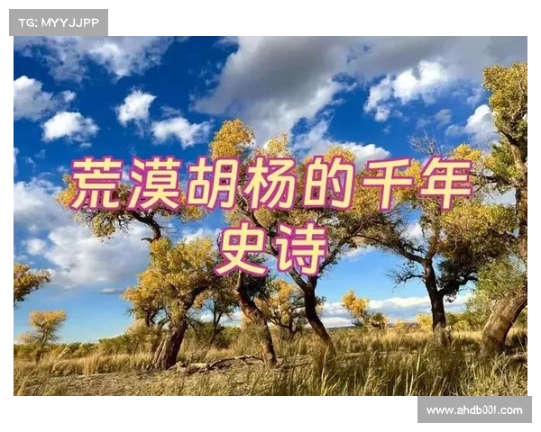 七大英雄史诗贯穿克罗米战役揭示英雄命运与史诗之交织 七大英雄史诗贯穿克罗米战役揭示英雄命运与史诗之交织