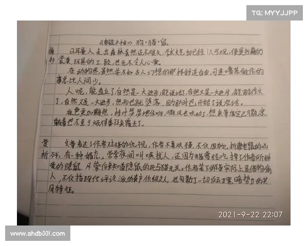 《猫鼠情深:为何它被视为友谊与和解的象征》 《猫鼠情深:为何它被视为友谊与和解的象征》