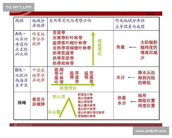 以欧协联决赛规则为核心的技术性深度解析与战术影响研究框架全貌