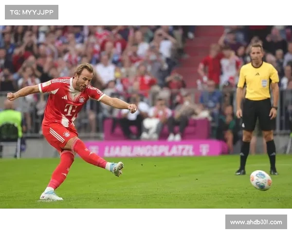 拜仁体育场命名背后故事揭秘揭示足球文化与品牌价值深度融合